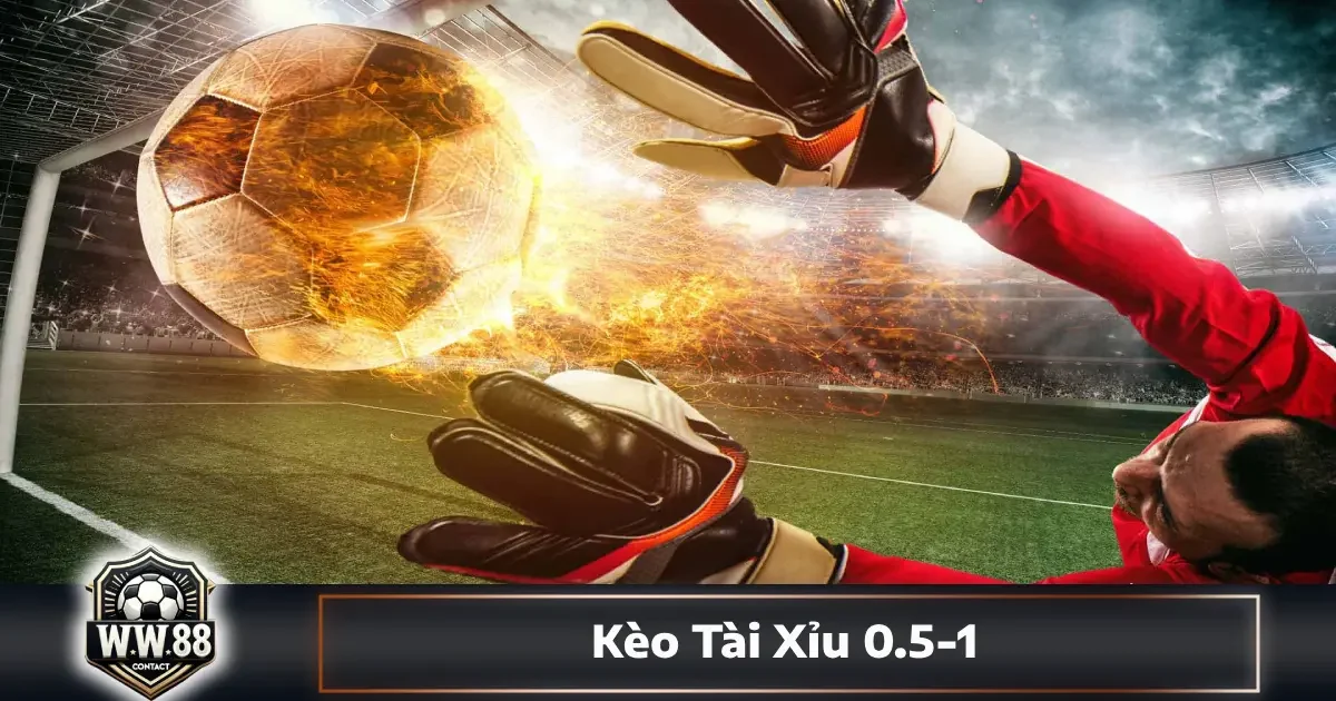 Kèo Tài Xỉu 0.5-1 Là Gì? Cách Đọc Kèo & Đặt Cược Tại WW88 4 Cách phân biệt kèo 0.5-1 với kèo 0.5 và 1 trái